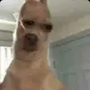 iamthemotherlfowls - @creative.mindzzz - TikTok