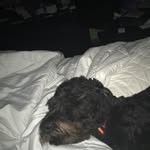 Creed Moore - @creedspamokreally - Instagram