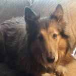 Cricket Perry - @cricket.perry.14 - Instagram