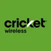 W Shaw Cricket - @w.shaw.cricket - TikTok