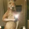 Cris Bone - @cris.bone7 - TikTok
