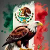 Cris Gonzalez - @cris.gonzalez395 - TikTok