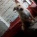 Cris Miranda - Facebook