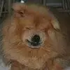 Crissy Smith875 - @crissysmith - TikTok