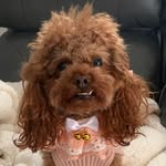 Crissy Vella Smith - @rubi_and_me - Instagram