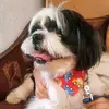 cristy molina😝😜 - @cristy_molina0 - TikTok