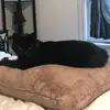 Kristen Young - @kristen..young - TikTok