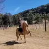 Cristian Herrera - @cristian.herrera227 - TikTok