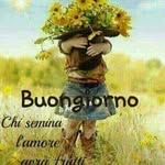 Cristina Basile - @cristina.basile.528 - Instagram