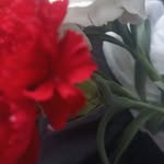 Cristina Basile - @cristinabasile123 - Instagram