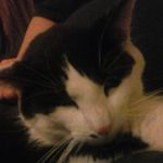 Cristina Schultz - @blueunicorns1966 - Instagram