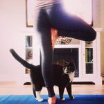 Cristina Schultz - @smelly_catt - Instagram