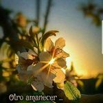 Cristobal Caal - @cristobal.caal - Instagram