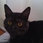 Cristobal Cabello - @cristobal.cabello.566 - Instagram