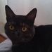 Cristobal Cabello - Facebook