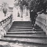 Cristobal Cabrera - @cristobalcabrera__ - Instagram