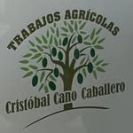 Cristobal Cano Caballero - @cristobalcanocaballero - Instagram