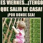 cristobal celis - @celis_mella - Instagram