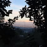 Cristóbal Hernández - @sholita_666 - Instagram