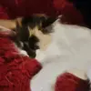 Cristobal Herrera - @cristobal.herrera861 - TikTok