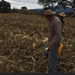 Cristobal Jimenez - @ca.jimenez25 - Instagram