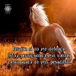 cristobal juarez garcia - @cristobaljuarezgarcia - Instagram