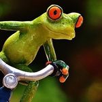 Cristóbal Miranda / Rana - @cristobal.miranda.aguila - Instagram