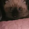 Cristobal Miranda - @cristobal.miranda50 - TikTok