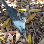 Cristobal Neri Arellano - @big_dreamer_cna - Instagram