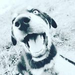 Cristopher Guzman - @cristopher.guzman.7587 - Instagram