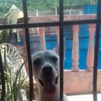 Cristopher Lugo - Facebook