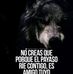 Cristopher Martin - Facebook