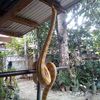 Cristoper Sembrano - @cristoper.sembran - TikTok
