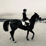 Ana Cruz-Conde Lacoba - @anacruzconde - Instagram