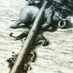 Ismael Cruz Conde - @cruzcondeismael - Instagram
