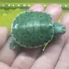 Cruz puga - @.cruz.puga - TikTok