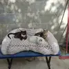 edithcruzpuga - @edithcruzpuga - TikTok