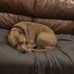 Crystal Acuff - Facebook
