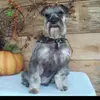 Crystal Acuff - @crystalacuff - TikTok