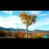 krystalcuff - @krystalcuff - TikTok