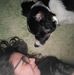 Crystal Addison - Facebook
