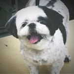 Shari Crystal Altman - @sharicrystalaltman - Instagram