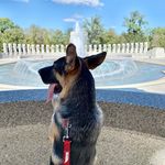 Crystal Amaya - @amaya.nola - Instagram