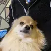 Crystal - @crystal.lamey0 - TikTok