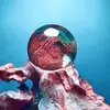 Angela crystals - @angelacrystals8 - TikTok