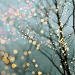 Crystal_ angel - @crystal_angle1 - Instagram