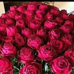 MOIN UMRAH ANSARI - @crys_talansari - Instagram