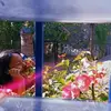 Crystal_Arellano - @Crystal_Arellano - TikTok