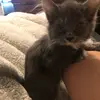 Crystal Autry - @crystal.autry - TikTok
