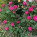 Crystal Ballinger - Facebook